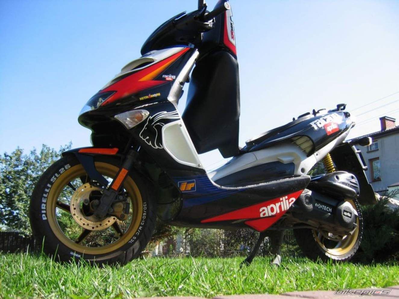 2004 APRILIA SR RACING 50 | Picture 889663 motorcycle photo