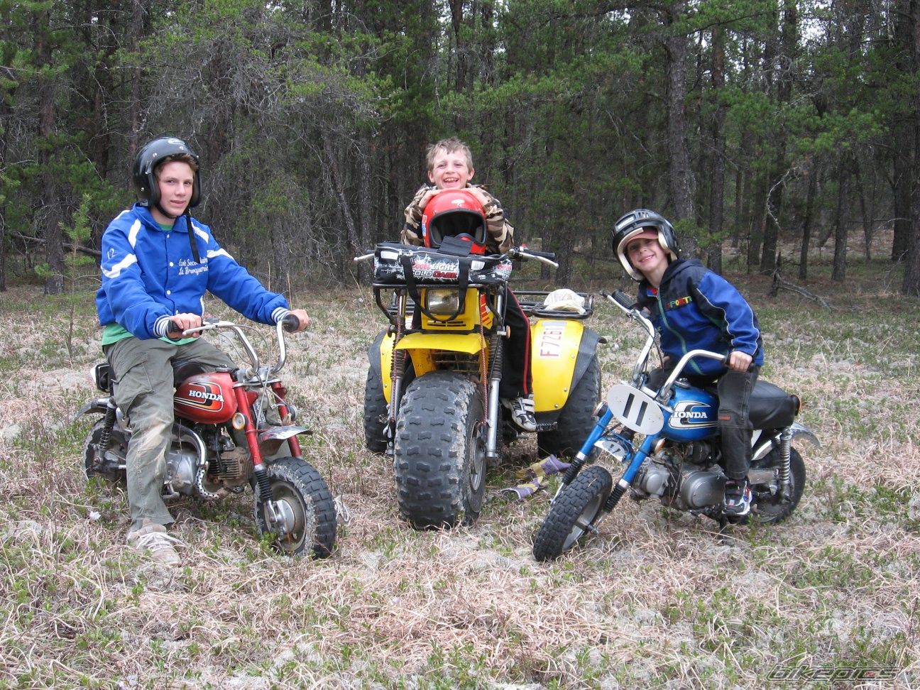 1974 HONDA Z 50 | Picture 889794 motorcycle photo