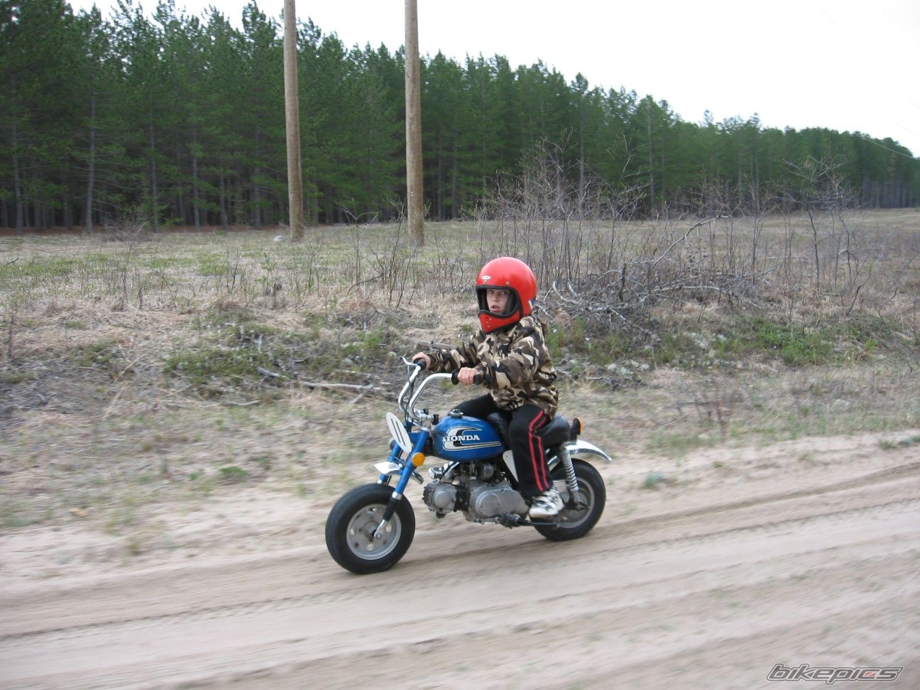 1974 HONDA Z 50 | Picture 889796 motorcycle photo
