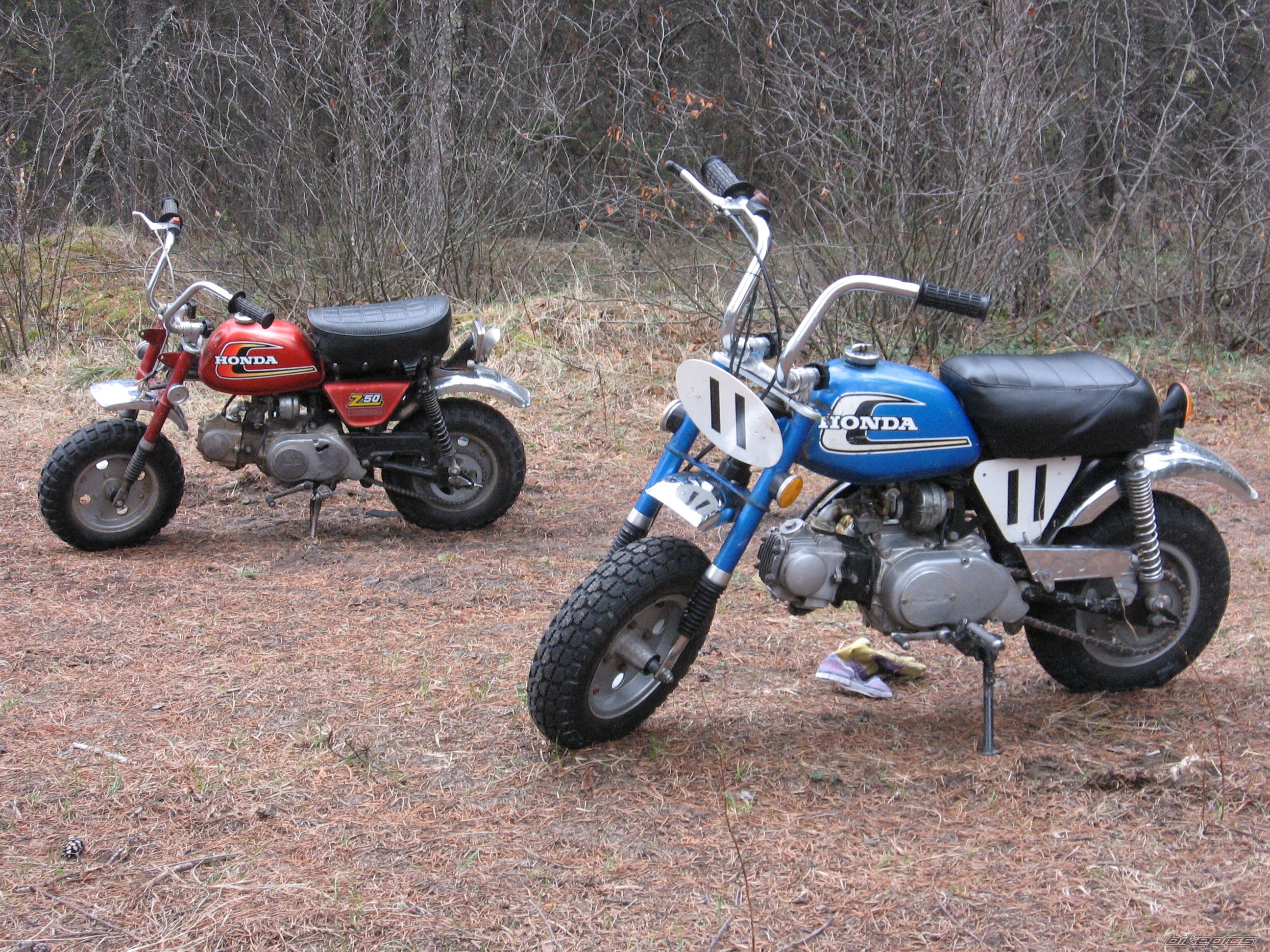 1975 HONDA Z 50 | Picture 889810 motorcycle photo