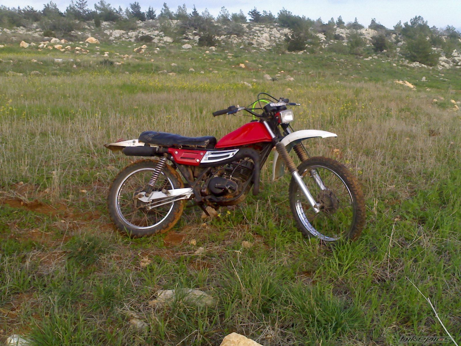 2007 SUZUKI TS 185 | Picture 889995 motorcycle photo