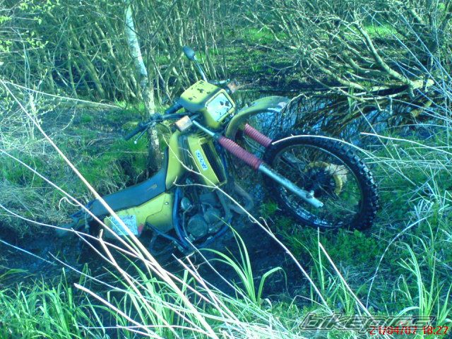 1986 YAMAHA DT 80 | Picture 890298 motorcycle photo