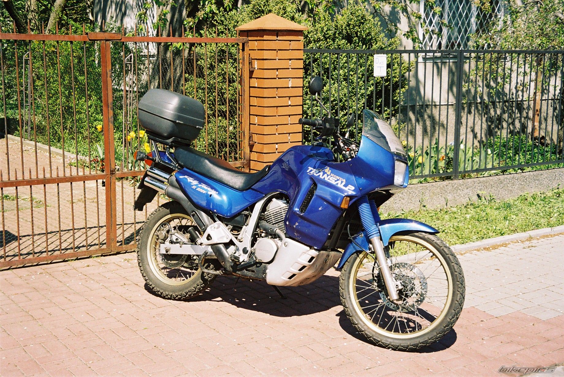 1993 HONDA XL 600V TRANSALP | Picture 890342 motorcycle photo