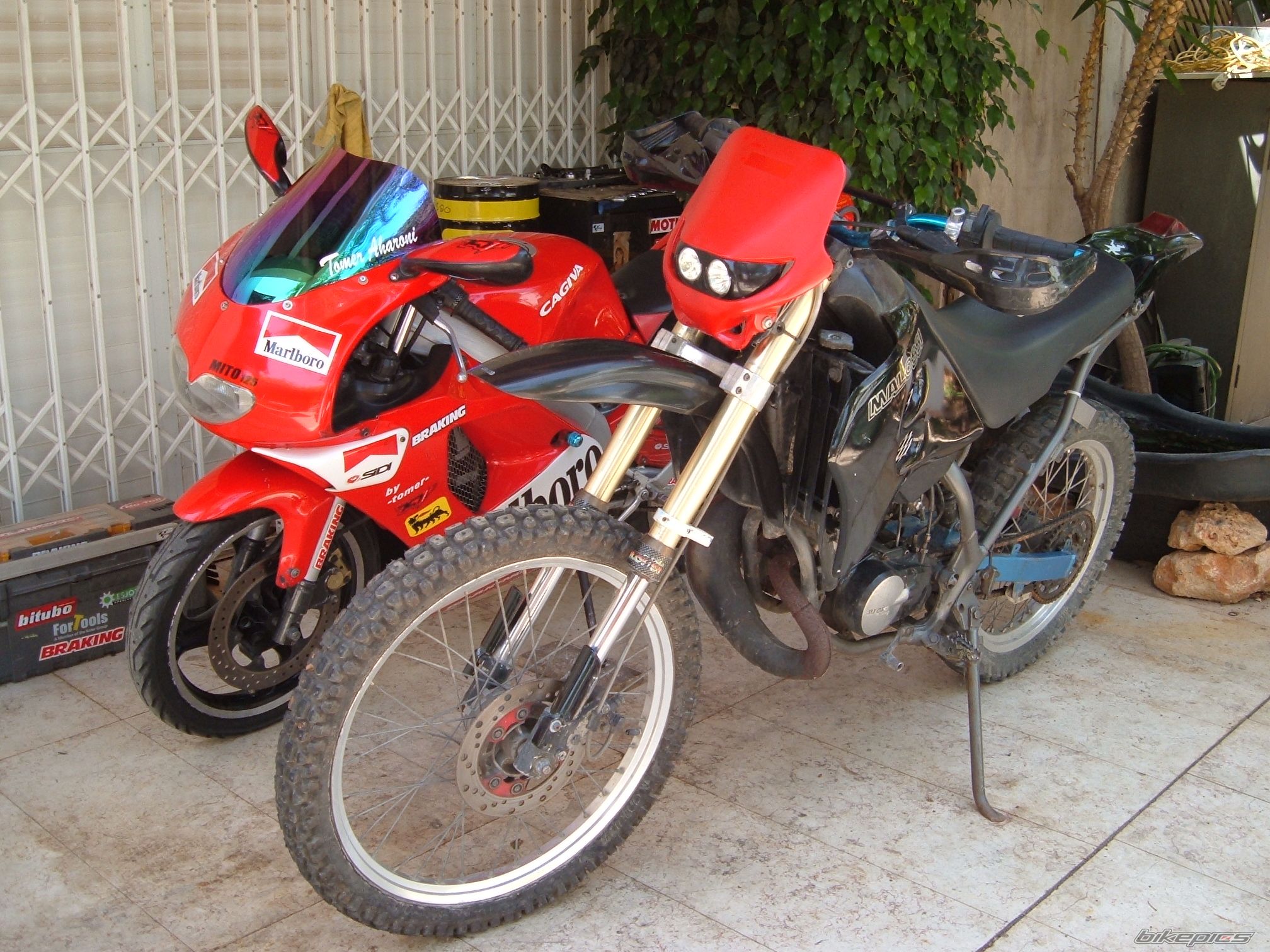 1998 APRILIA RS 50 | Picture 890402 motorcycle photo