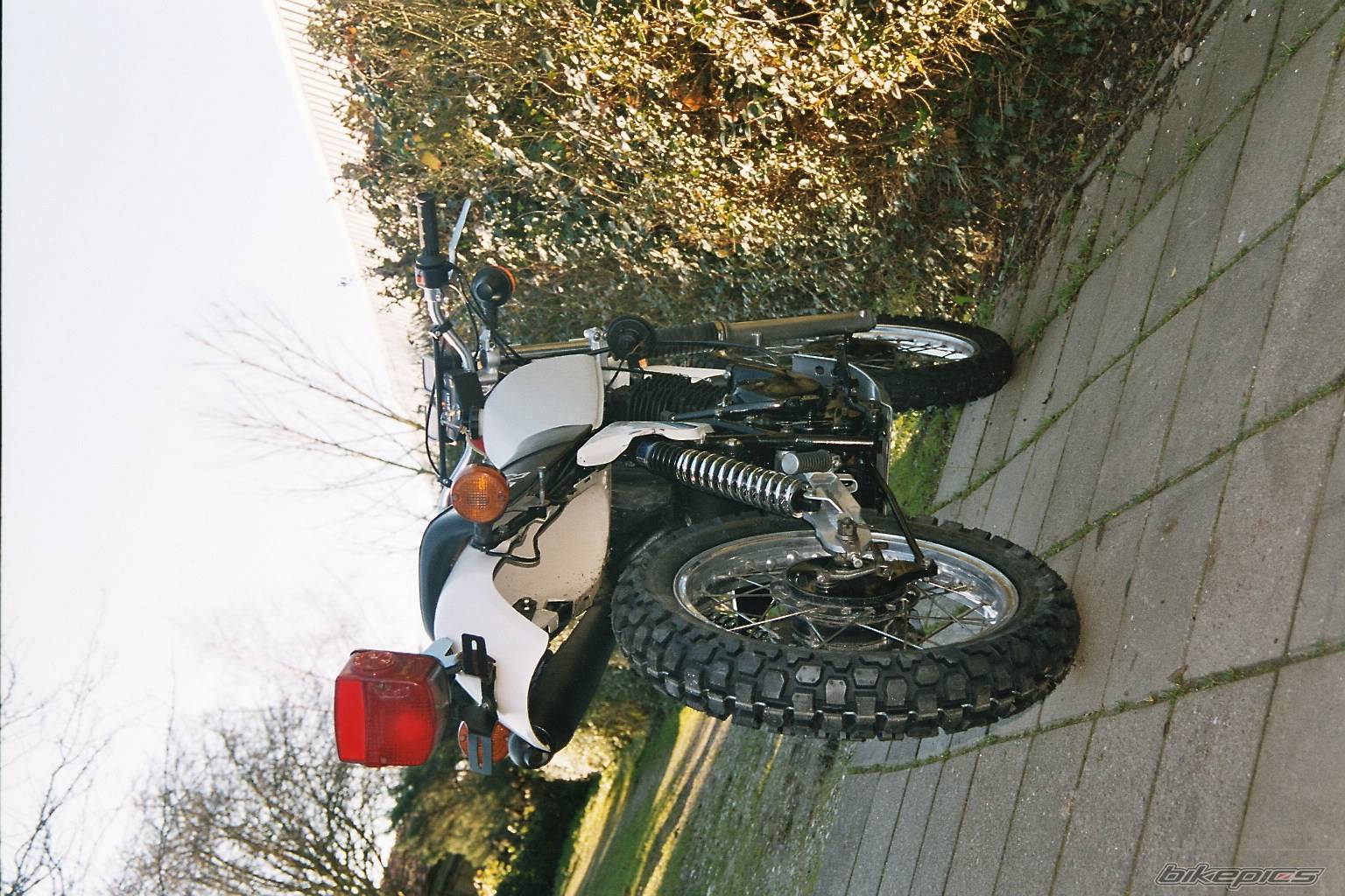 1981 SUZUKI DR 400 | Picture 89045 motorcycle photo