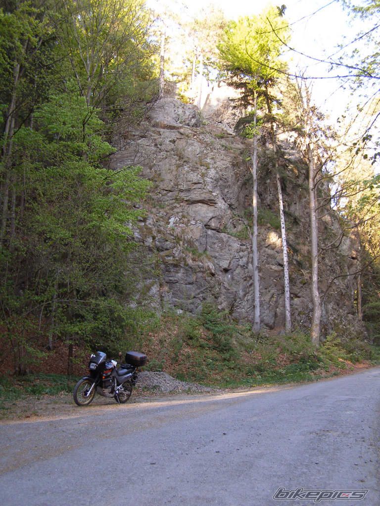 1993 HONDA XL 600V TRANSALP | Picture 890563 motorcycle photo