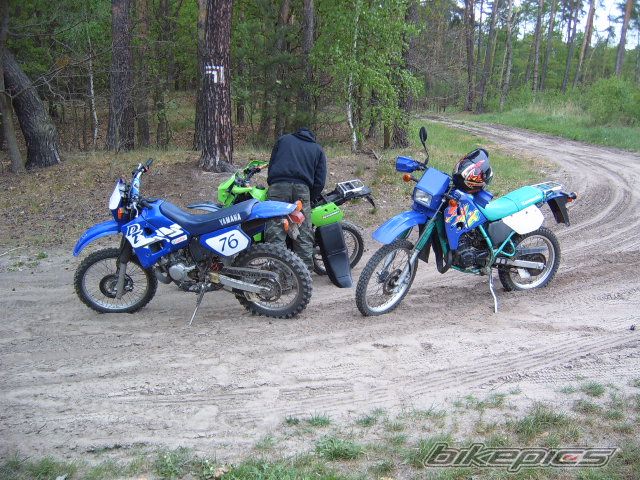 1996 KAWASAKI KMX 125 | Picture 890716 motorcycle photo