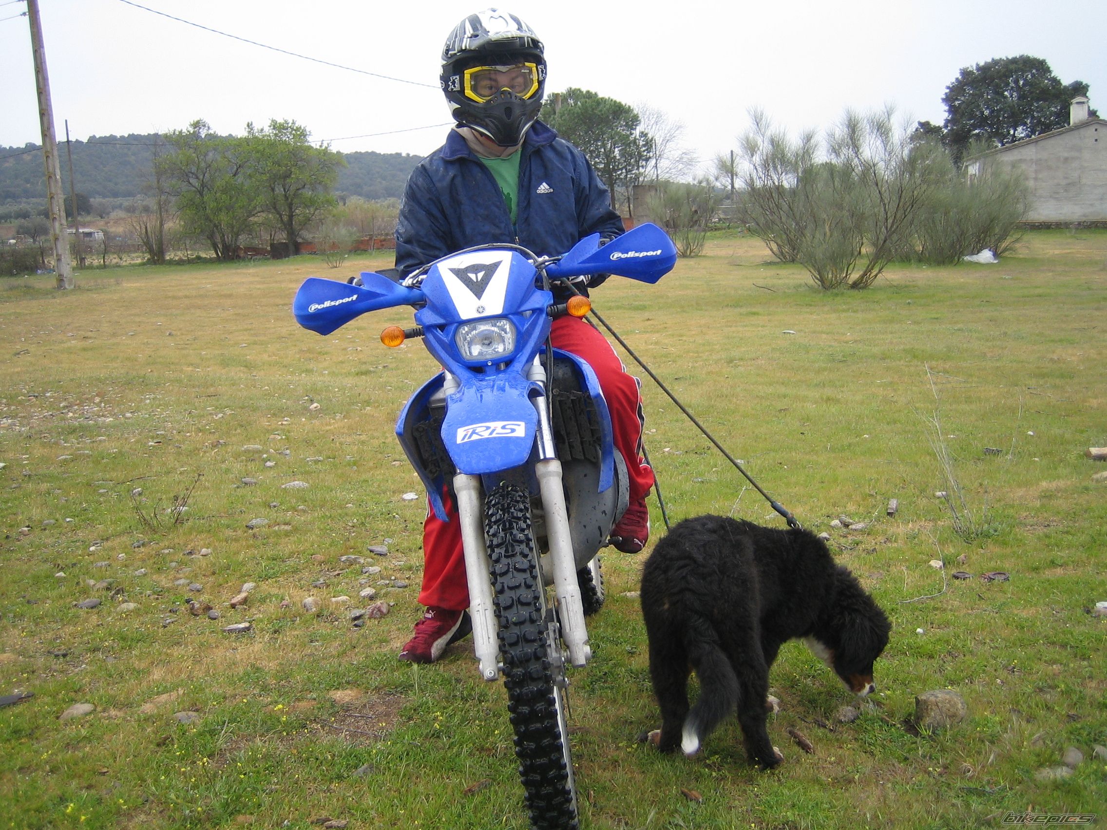 2006 YAMAHA DT 50 | Picture 890848 motorcycle photo