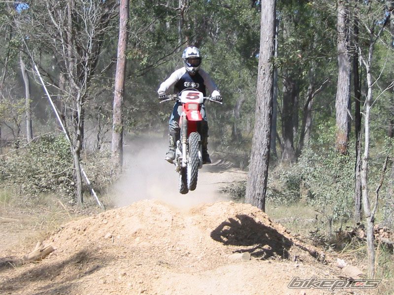 2001 HONDA XR 250 | Picture 891154 motorcycle photo