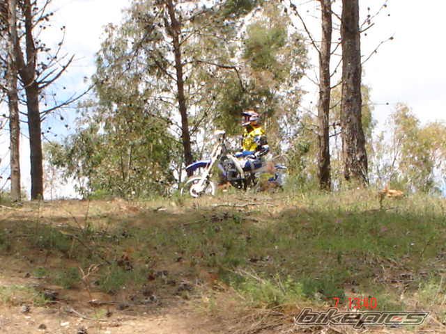 1994 YAMAHA YZ 250 | Picture 891351 motorcycle photo