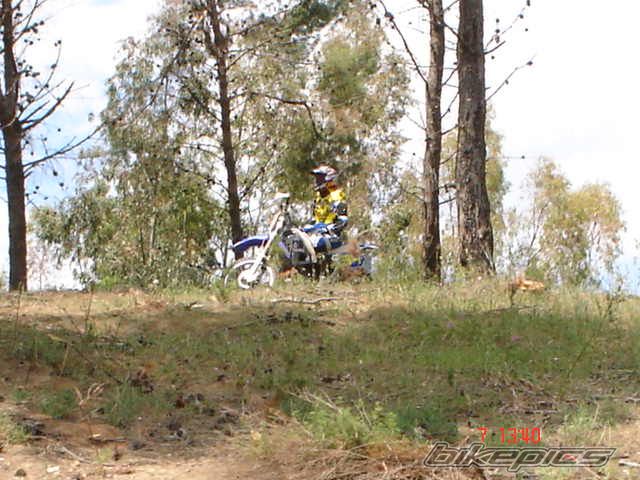 1994 YAMAHA YZ 250 | Picture 891352 motorcycle photo