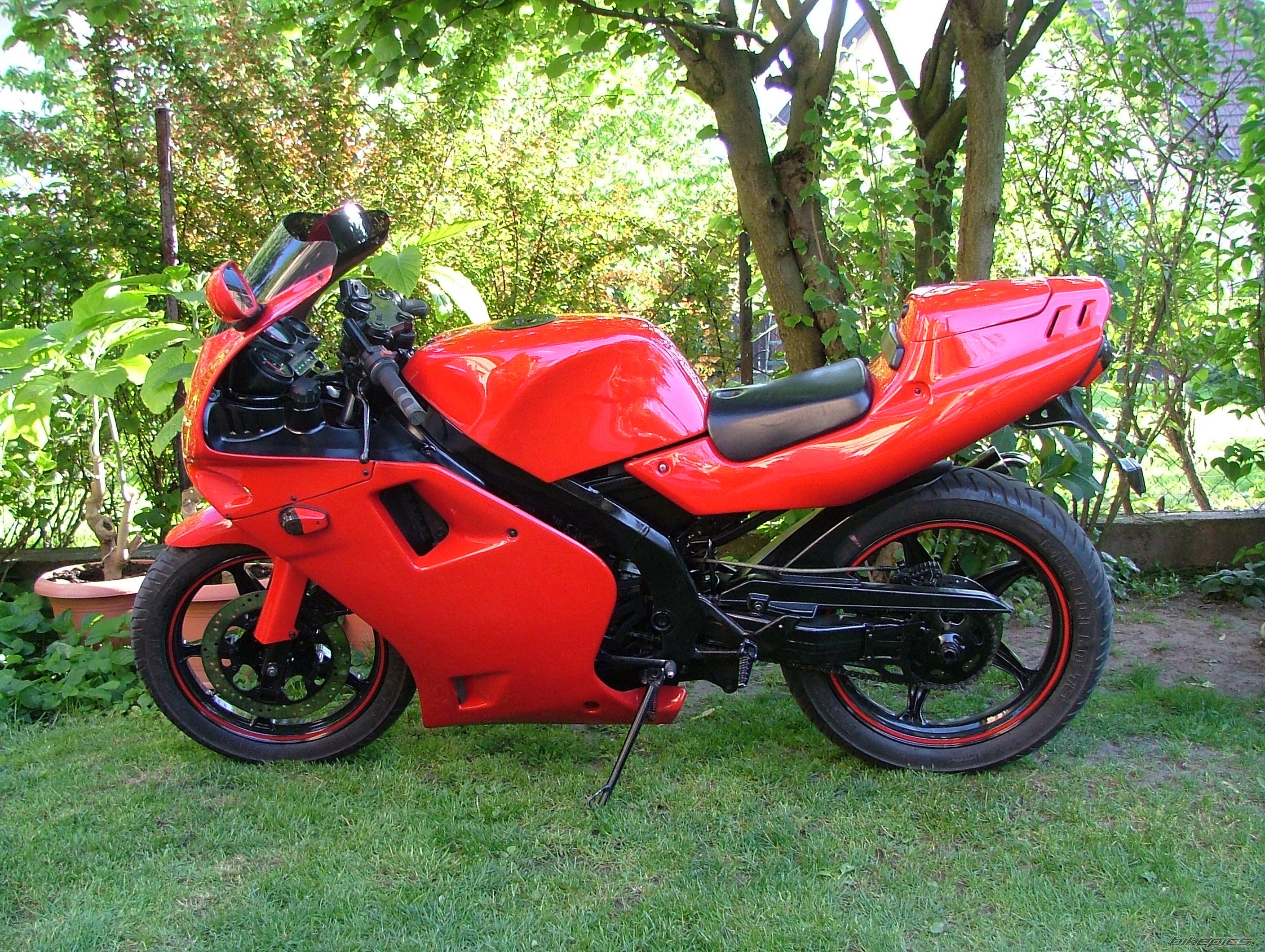 1994 APRILIA AF1 FUTURA 50 | Picture 891667 motorcycle photo