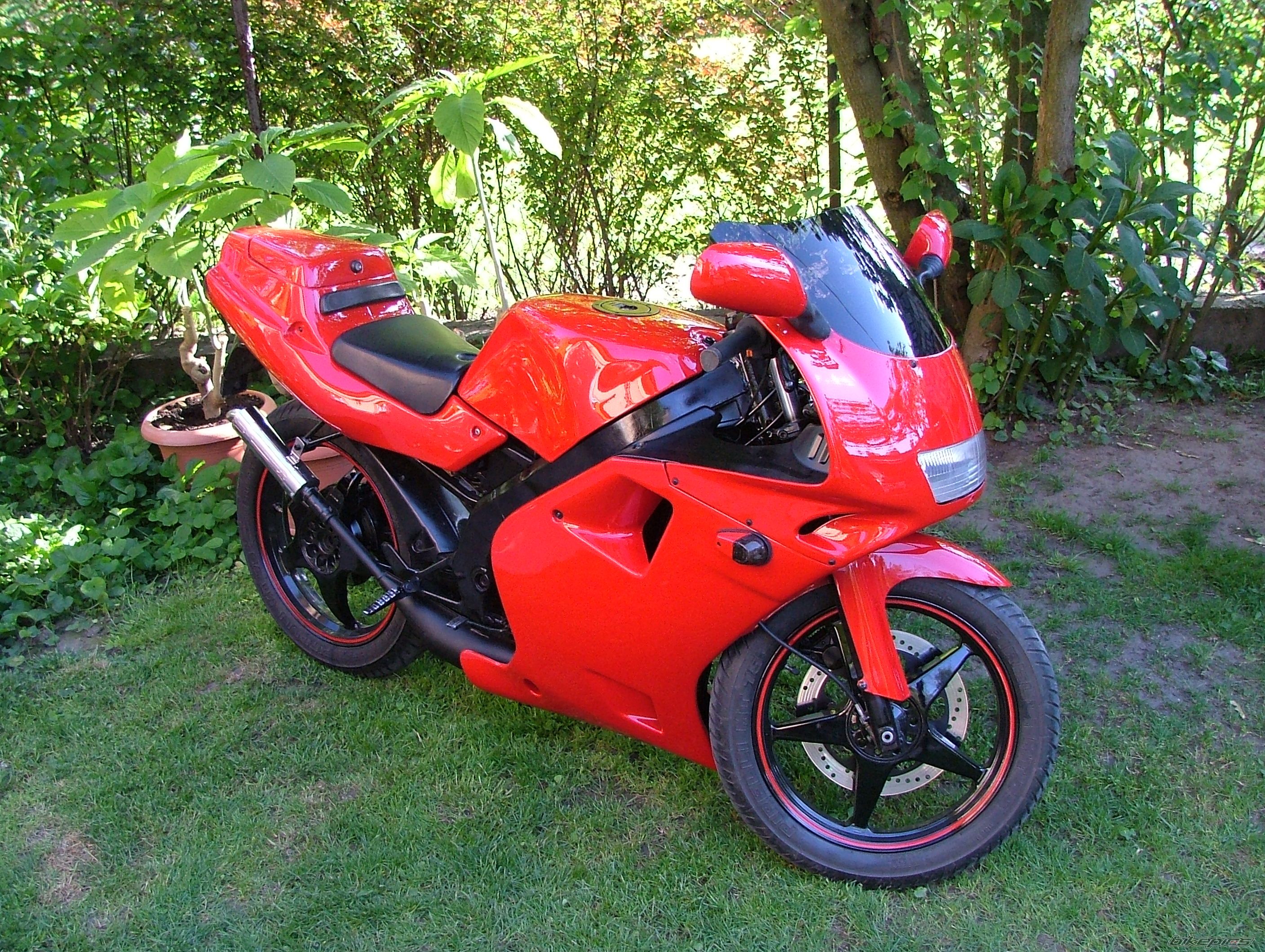 1994 APRILIA AF1 FUTURA 50 | Picture 891676 motorcycle photo