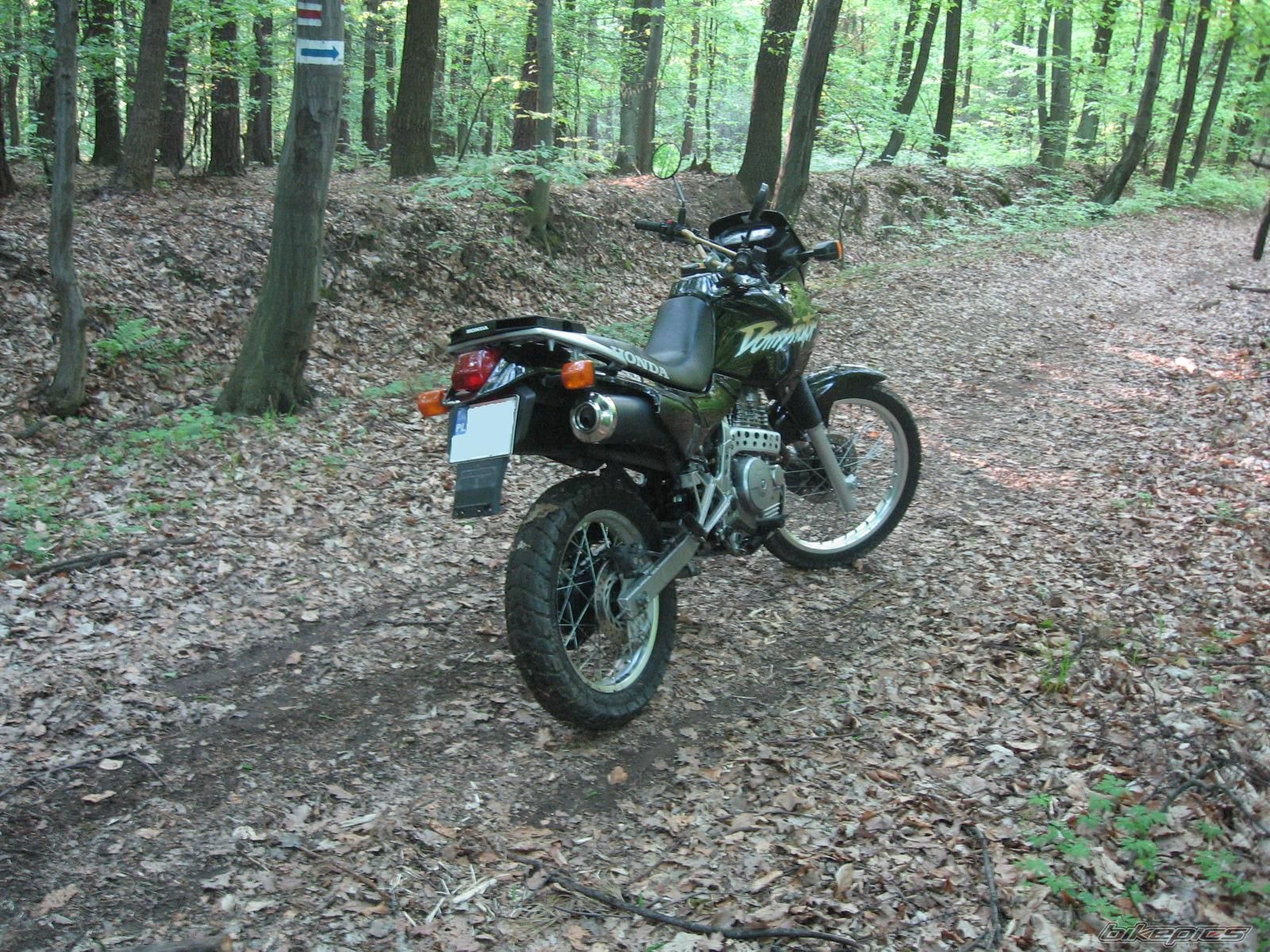 1998 HONDA NX 650 DOMINATOR | Picture 892764 motorcycle photo