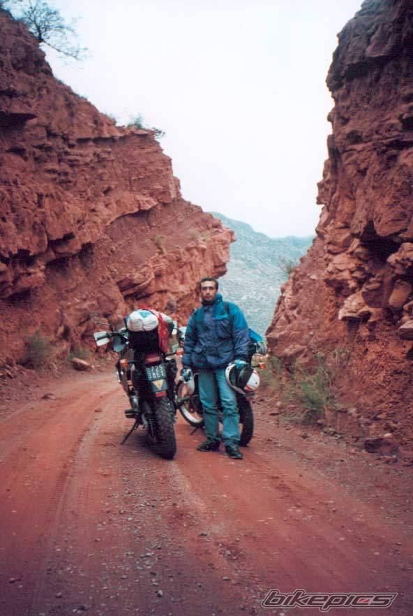 1995 HONDA XL 600V TRANSALP | Picture 89302 motorcycle photo