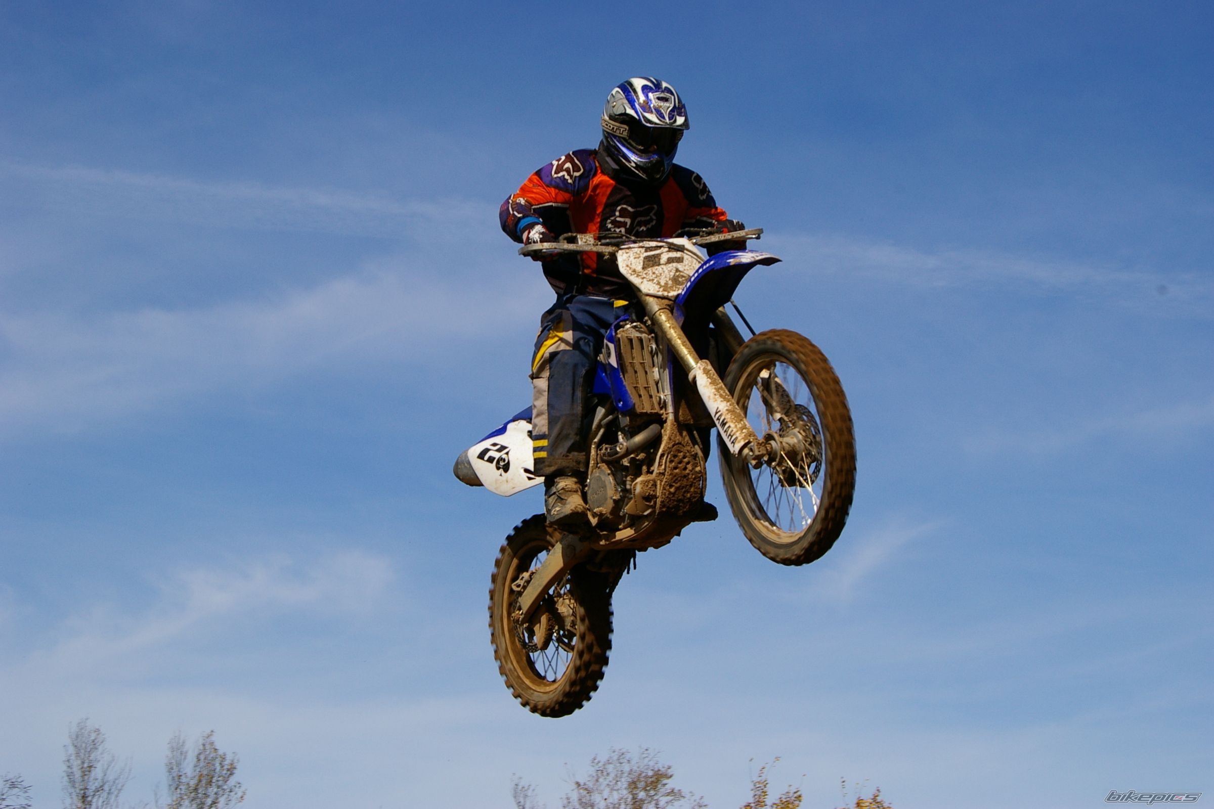 2006 YAMAHA YZ 450F | Picture 893182 motorcycle photo