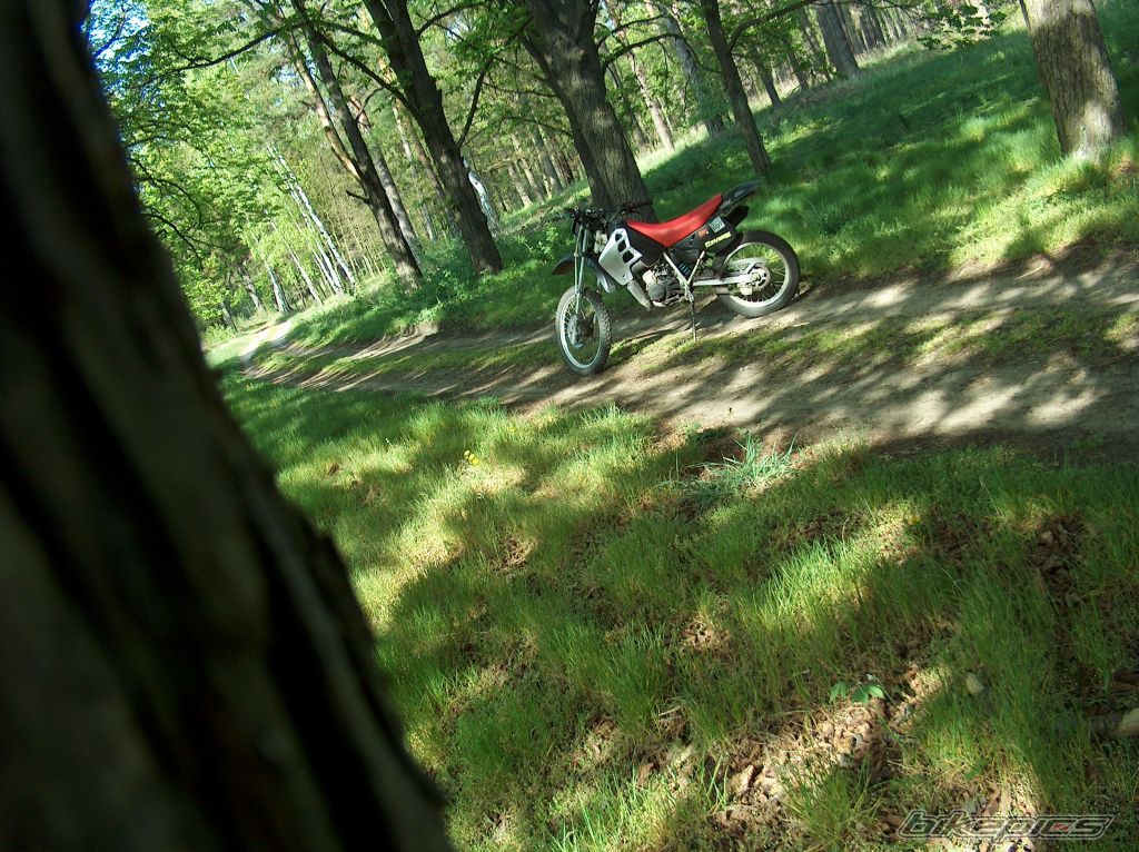 1994 HONDA CRM 75 | Picture 893772 motorcycle photo