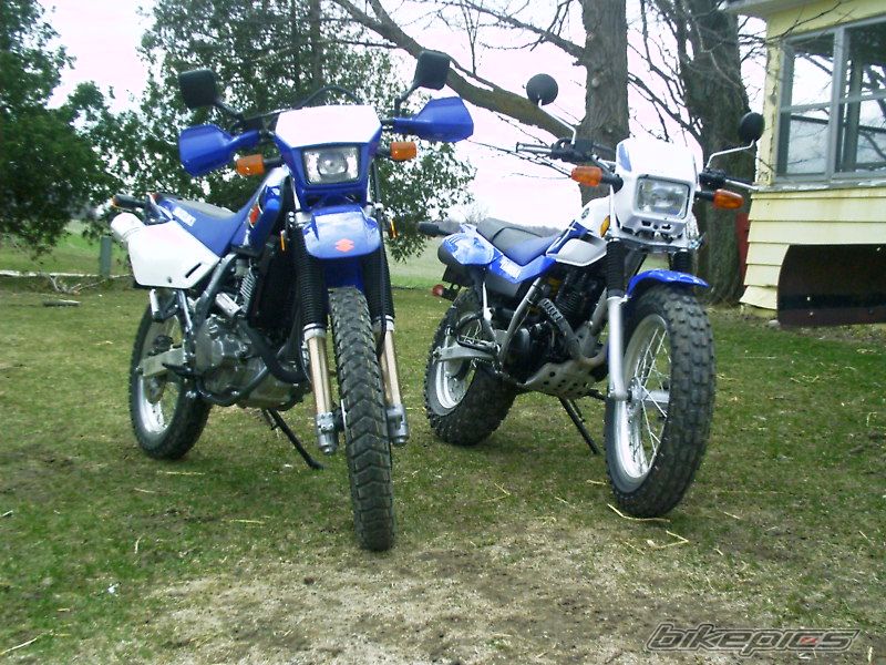 2006 SUZUKI DR 650 | Picture 894055 motorcycle photo