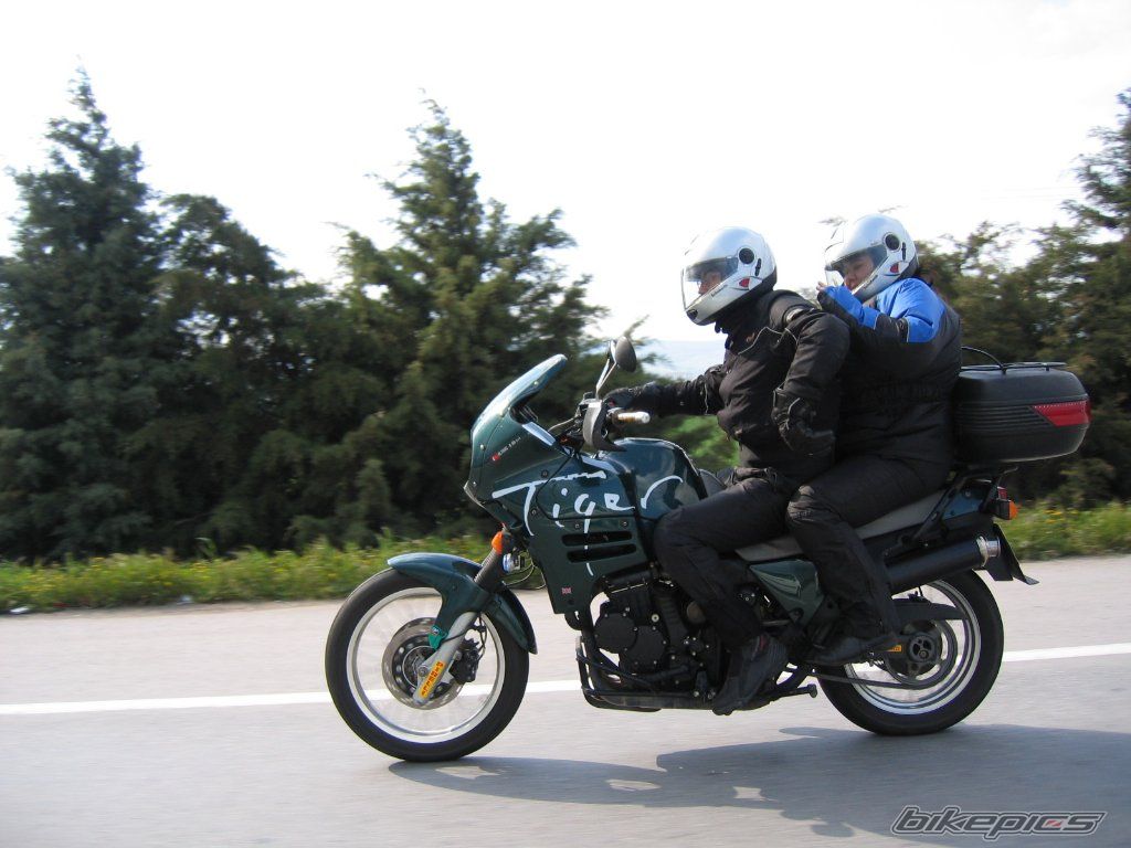 1998 TRIUMPH TIGER | Picture 894217 motorcycle photo