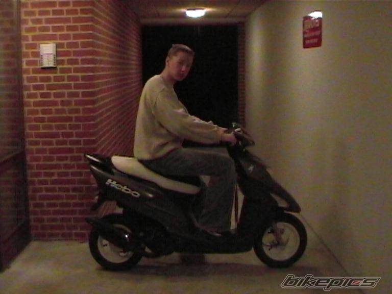 2000 HONDA SFX | Picture 89425 motorcycle photo