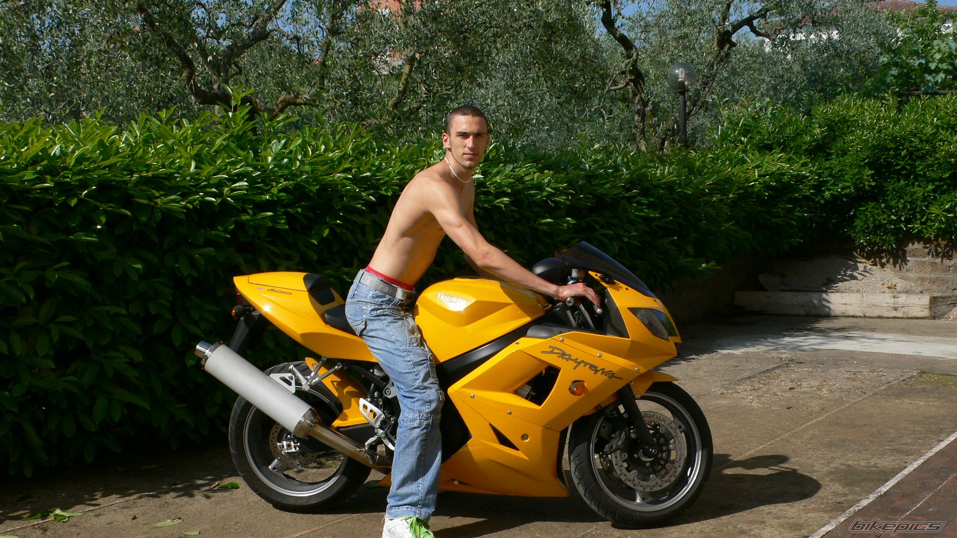 2003 TRIUMPH DAYTONA 600 | Picture 894439 motorcycle photo