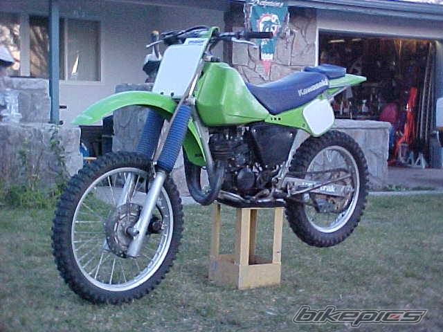 1987 KAWASAKI KDX 200 | Picture 89471 motorcycle photo