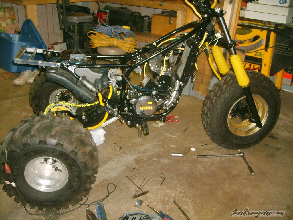 1985 YAMAHA TRI Z 250 | Picture 894902 motorcycle photo