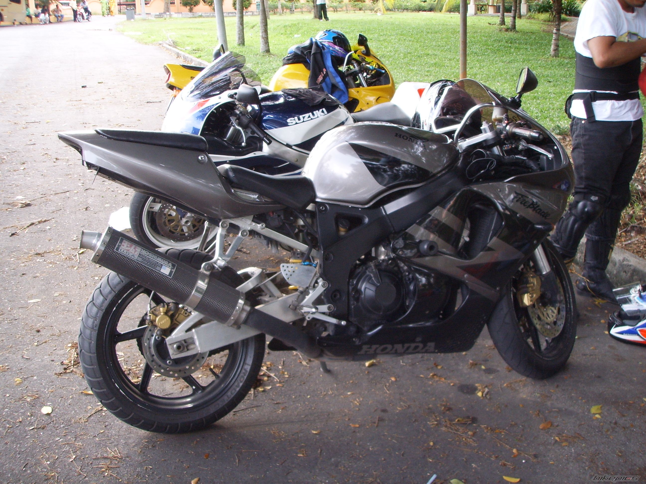 1995 HONDA CBR 900 | Picture 896707 motorcycle photo