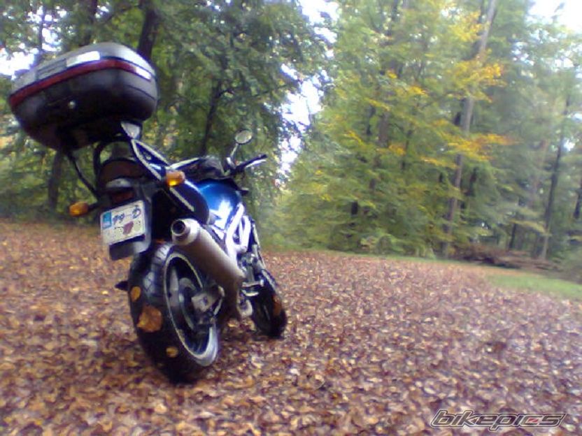 1999 SUZUKI SV 650 | Picture 896925 motorcycle photo