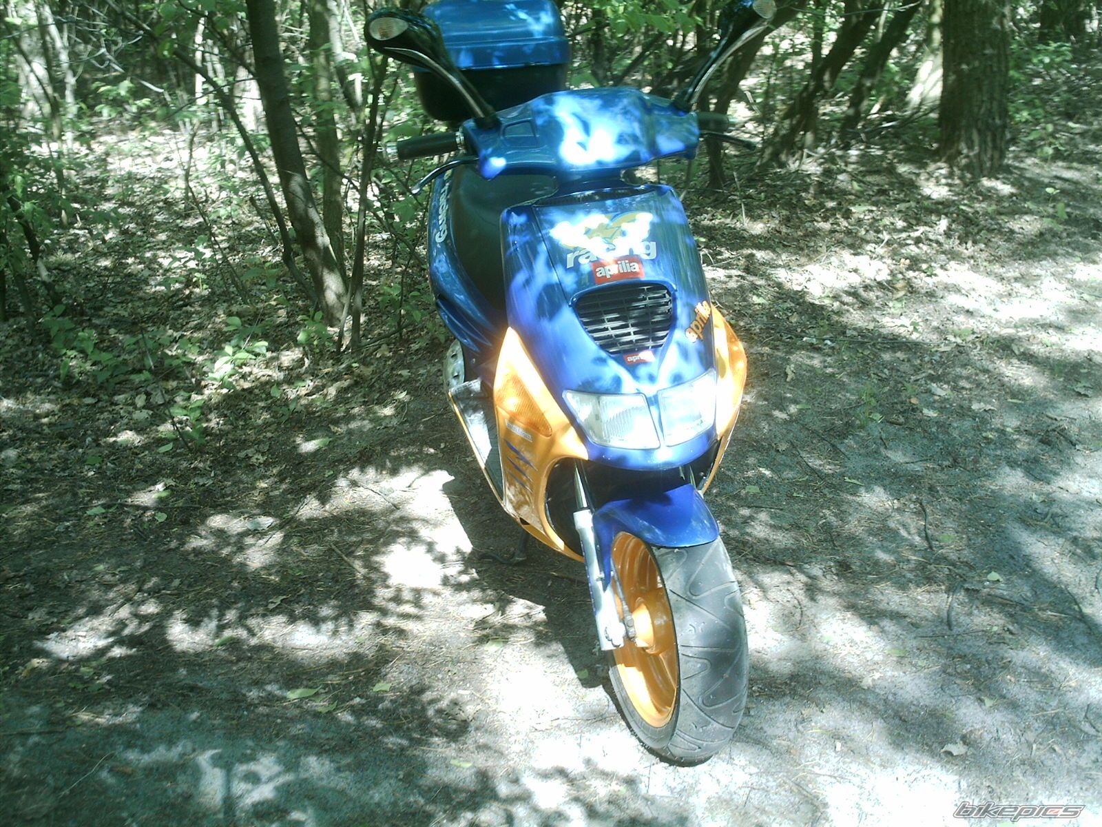 1998 APRILIA SR 50 | Picture 896928 motorcycle photo