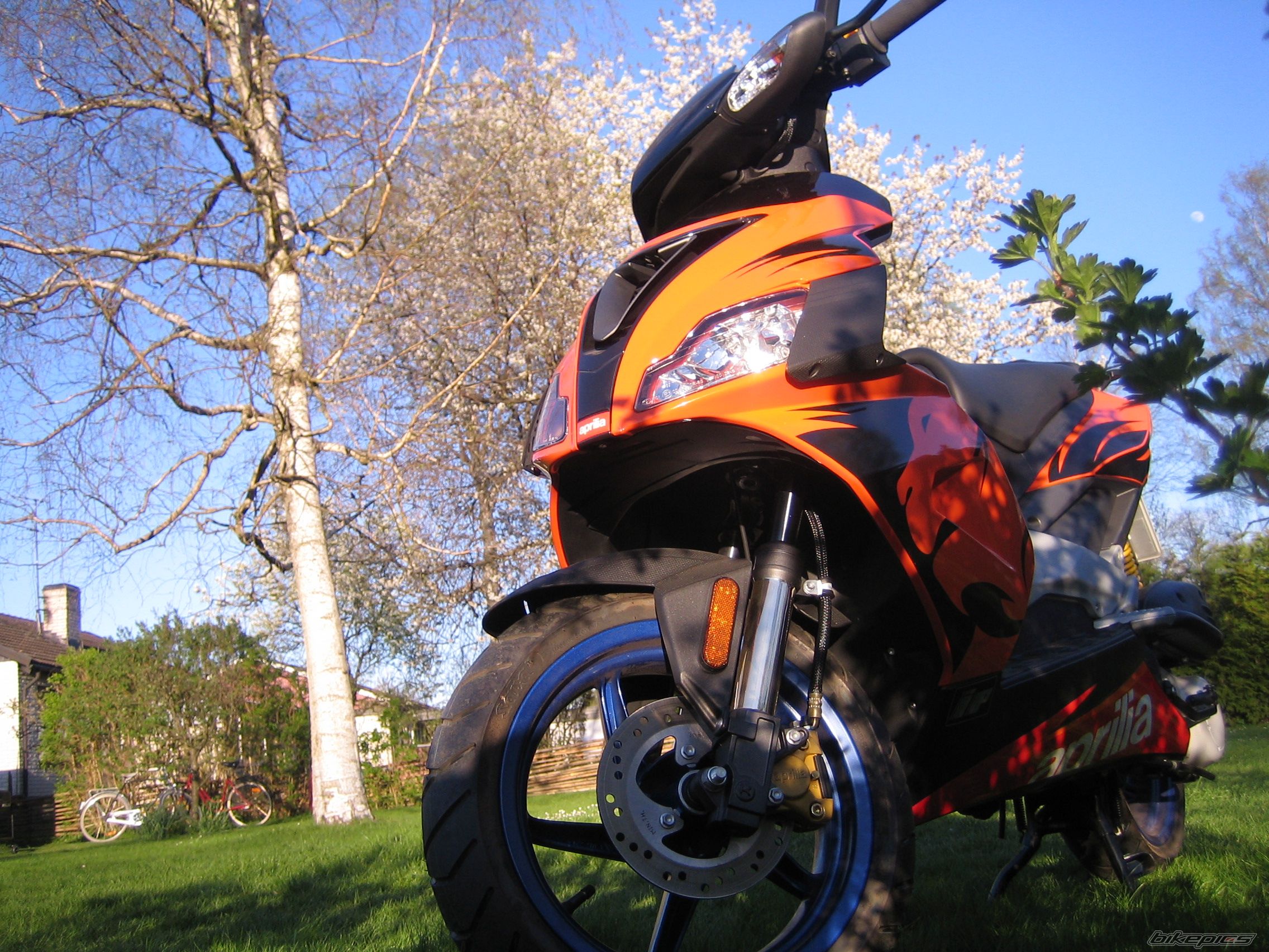 2006 APRILIA SR 50 | Picture 896950 motorcycle photo