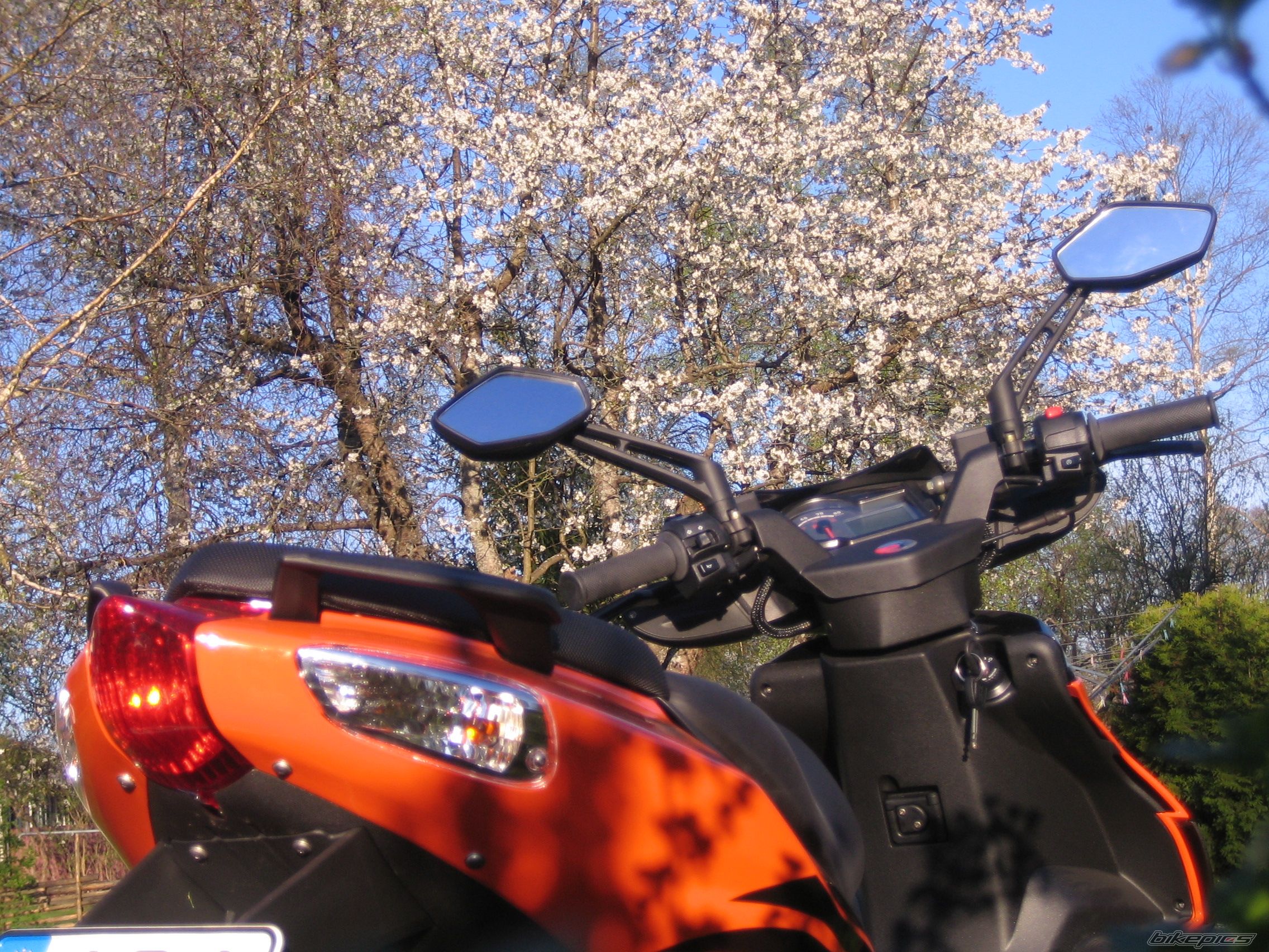 2006 APRILIA SR 50 | Picture 896954 motorcycle photo