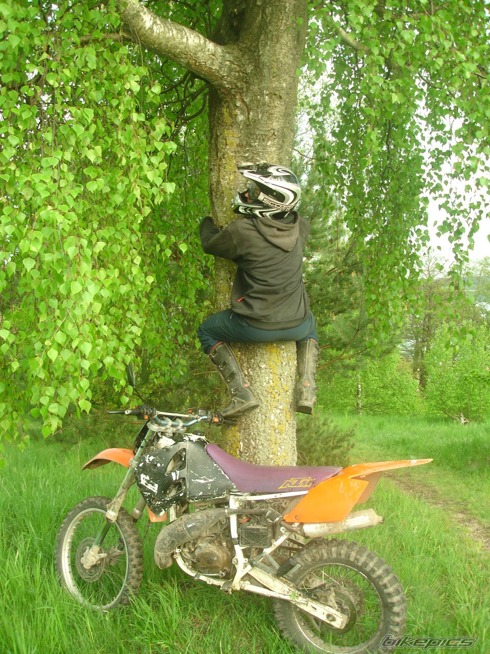 1989 APRILIA TUAREG RALLY 125 | Picture 897249 motorcycle photo