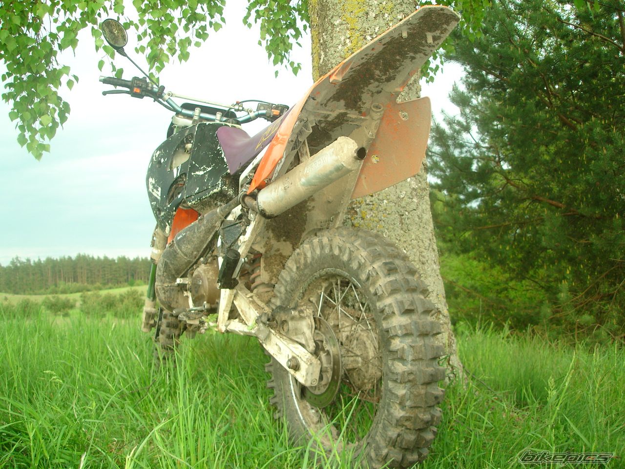 1989 APRILIA TUAREG RALLY 125 | Picture 897256 motorcycle photo