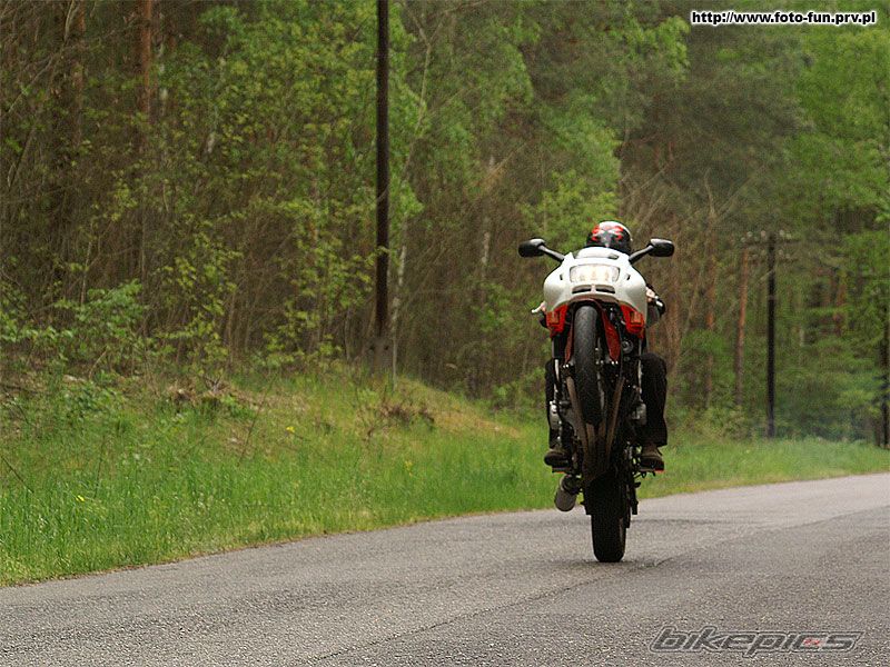 1989 HONDA CBR 600 | Picture 897563 motorcycle photo