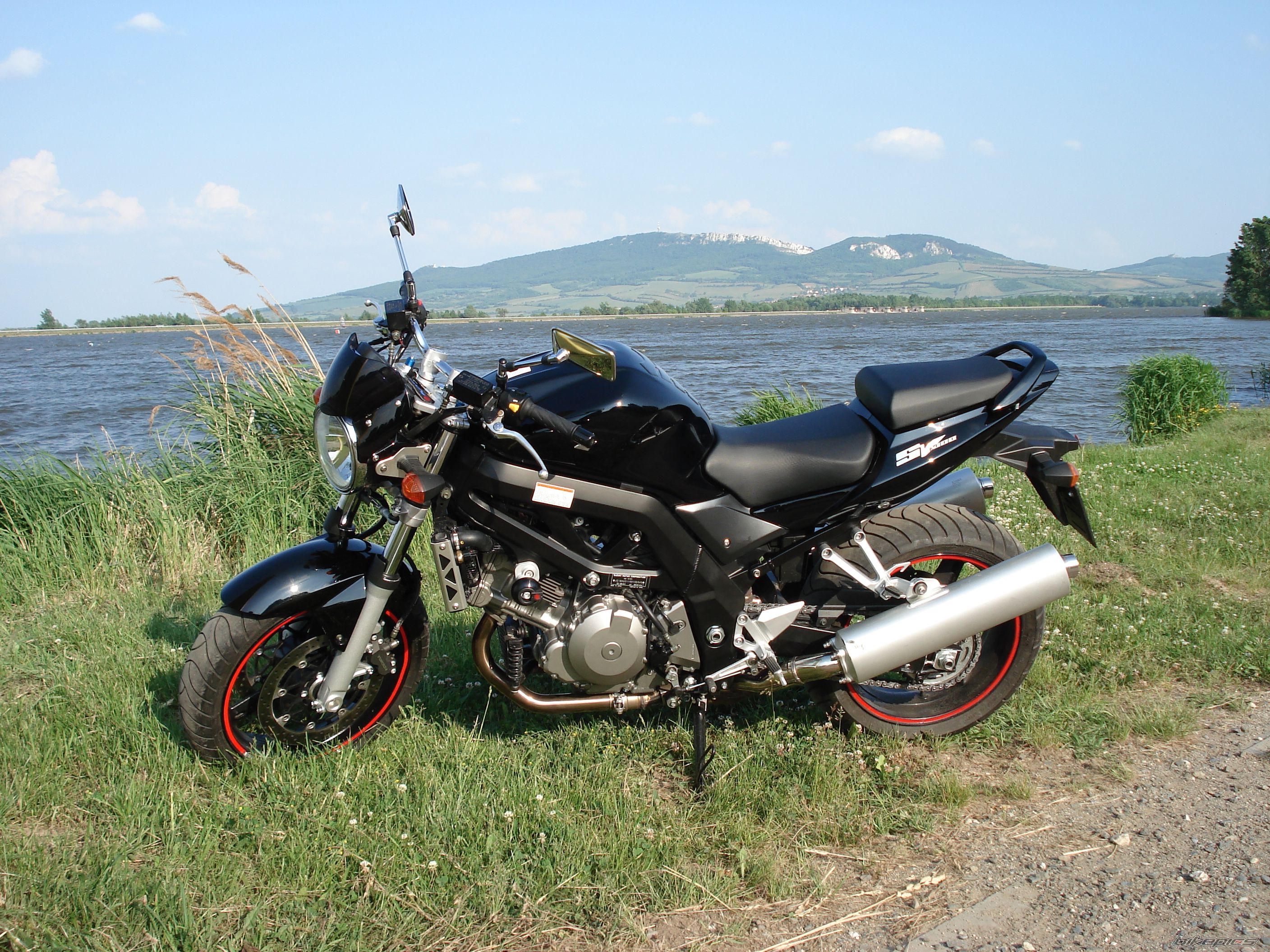 2006 SUZUKI SV 1000 | Picture 897591 motorcycle photo