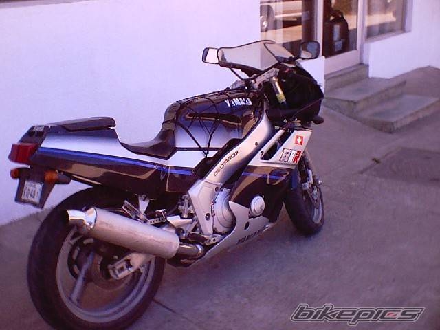 1991 YAMAHA FZR 400 | Picture 89955 motorcycle photo