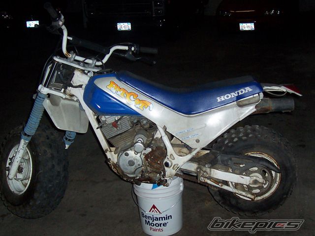 1987 HONDA TR200 FATCAT | Picture 899585 motorcycle photo