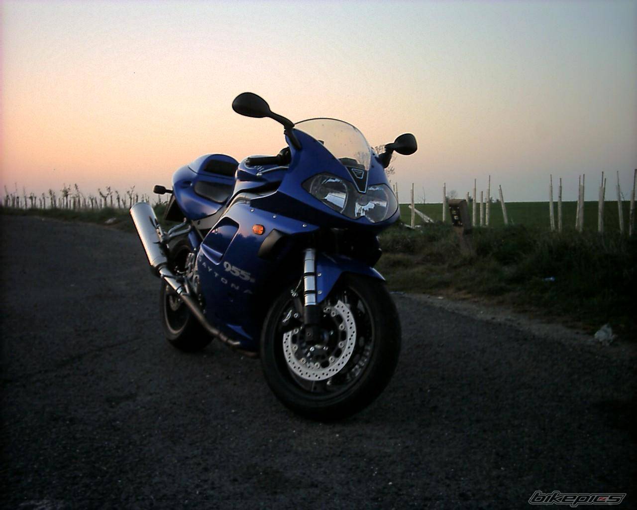 2002 TRIUMPH DAYTONA 955 | Picture 90031 motorcycle photo