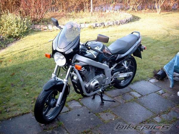 2002 SUZUKI GS 500 | Picture 90058 motorcycle photo