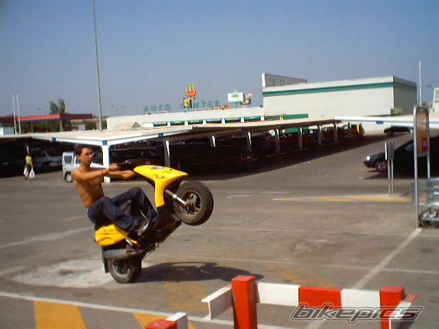 1999 PIAGGIO TPH 50 | Picture 90066 motorcycle photo