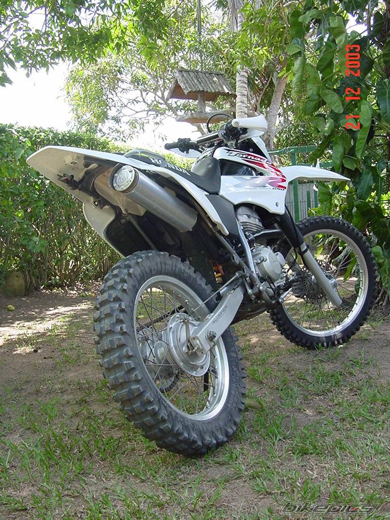 2002 HONDA XR 250 | Picture 90081 motorcycle photo