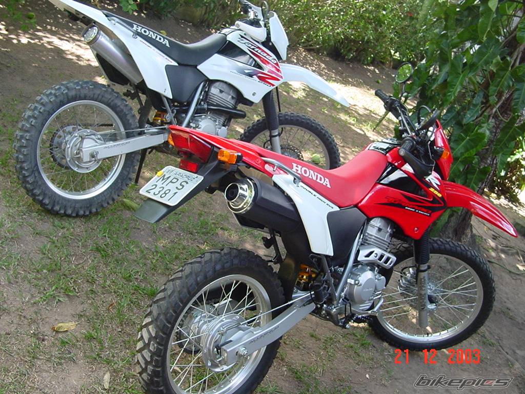 2002 HONDA XR 250 | Picture 90082 motorcycle photo
