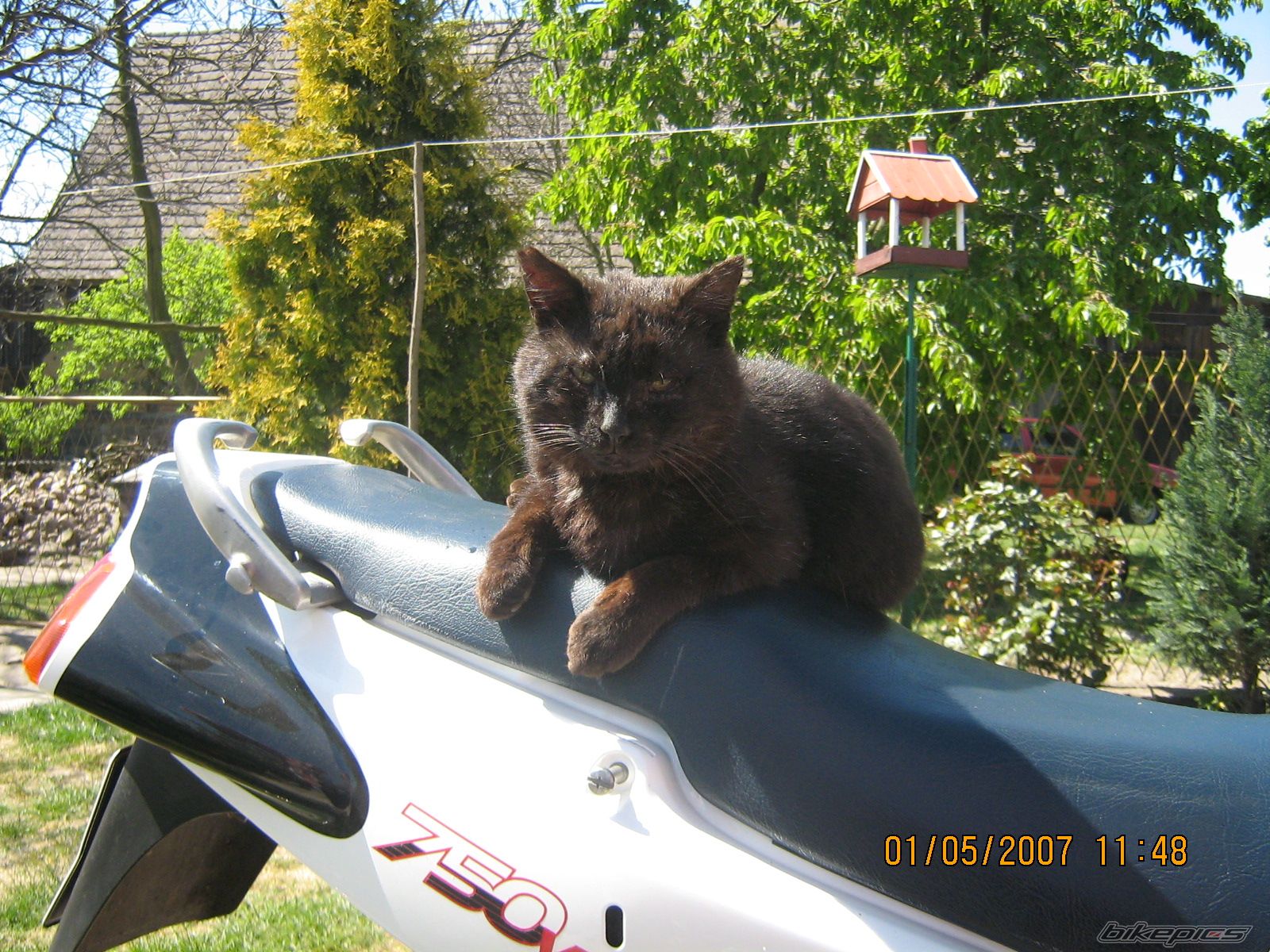 1993 HONDA VFR 750 | Picture 901024 motorcycle photo