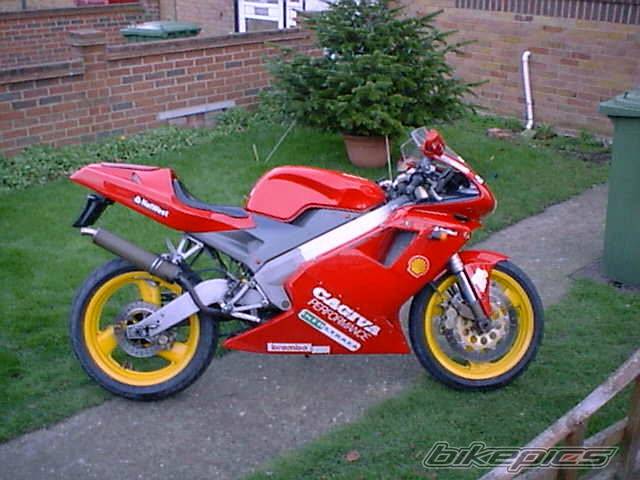 1995 CAGIVA MITO 125 | Picture 90107 motorcycle photo