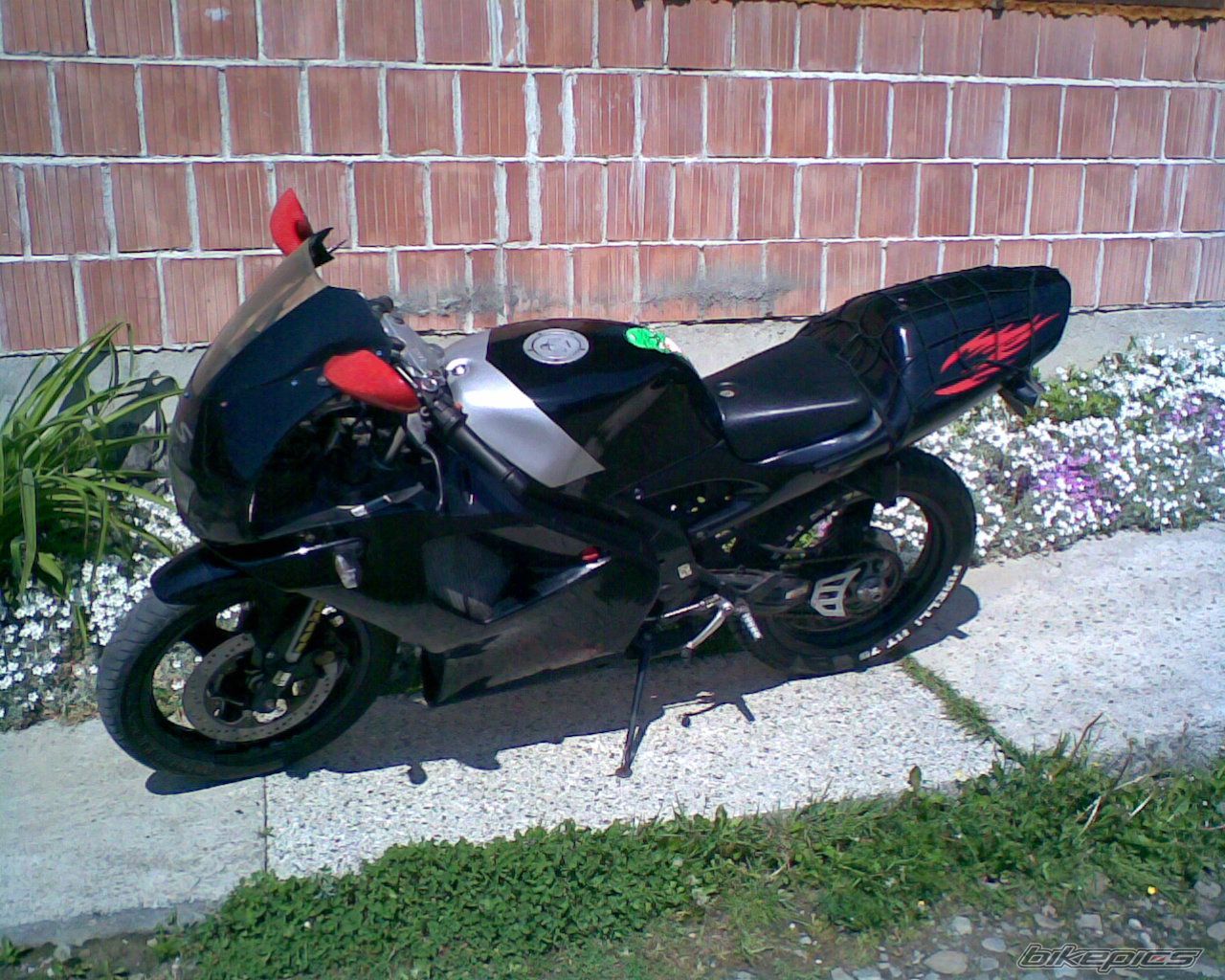 1994 APRILIA RS 50 | Picture 901264 motorcycle photo