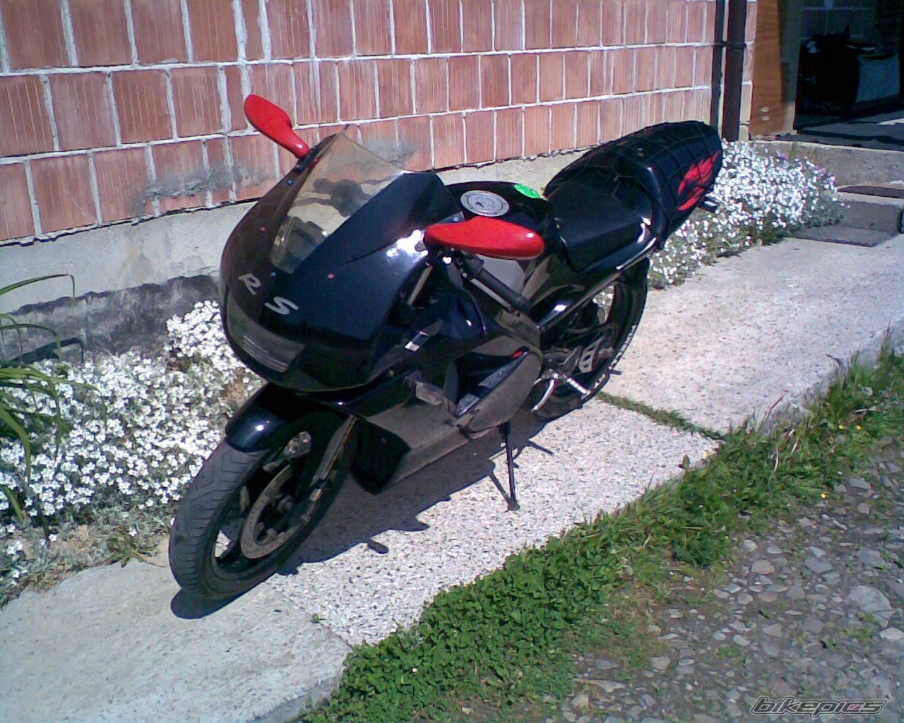 1994 APRILIA RS 50 | Picture 901270 motorcycle photo