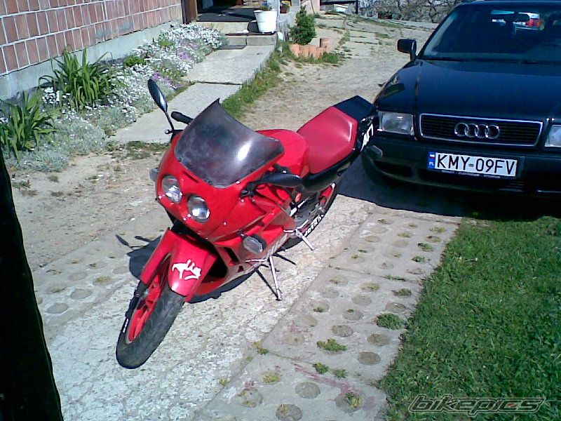 1989 APRILIA AF1 FUTURA 50 | Picture 901368 motorcycle photo