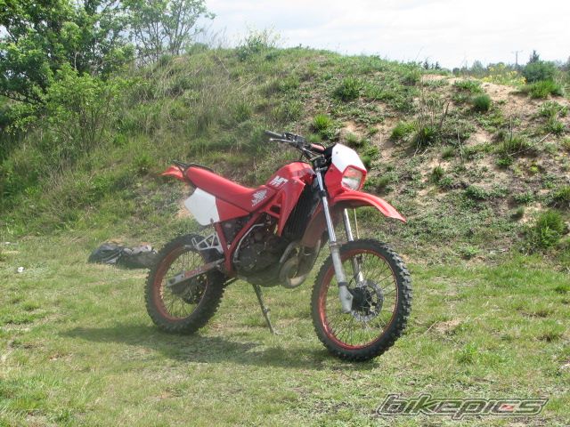 1987 HONDA MTX 125 | Picture 901507 motorcycle photo