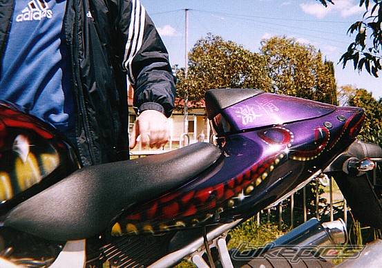 2000 SUZUKI TL1000S | Picture 90155 motorcycle photo